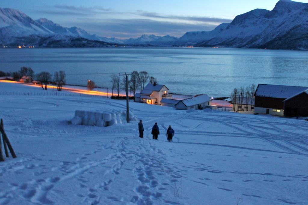 Vila Solheim Fritidsgard Svensby Pokoj fotografie