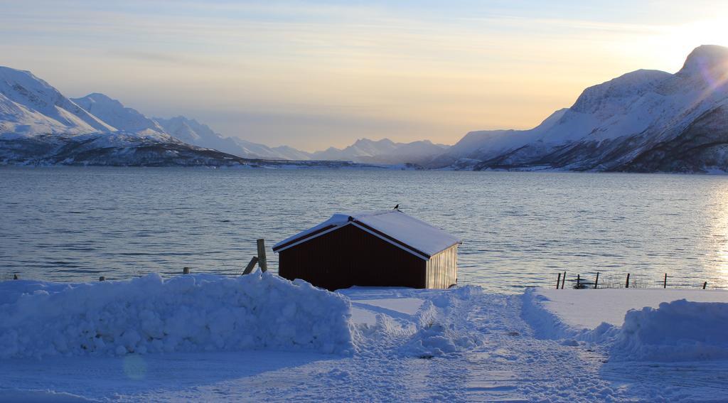 Vila Solheim Fritidsgard Svensby Exteriér fotografie